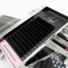0.05 After Hours Cashmere Lash Trays